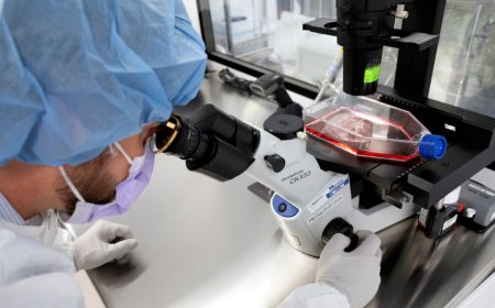 How AI could transform cancer treatment and medicine
