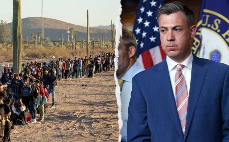 Massive ICE sweep fuels GOP push to lock Trump immigration crackdown into law