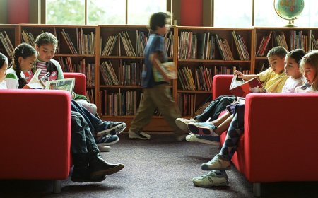 Put down those textbooks and turn off the screens; here is a great way for kids to learn