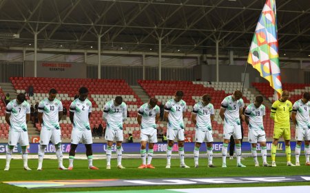 Ireland players refuse handshakes before Nations League win over Israel