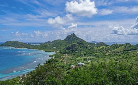 4 killed, 4 wounded in mass shooting near capital of Caribbean luxury tourism destination