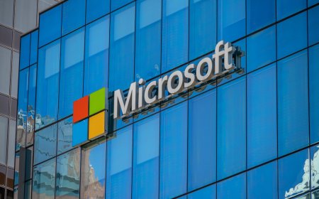 The Netherlands is rolling its own software and services after U.S. sanctions took Microsoft off the table