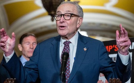 Dems kill Republican's chances of lowering Americans' electricity bills in key election flashpoint