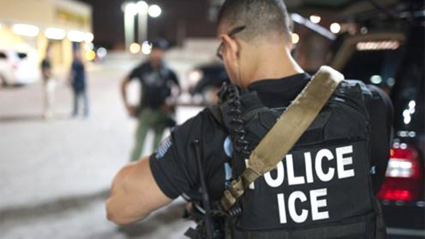 Suspect in custody for strangling Massachusetts woman to death in her home is Brazilian illegal immigrant