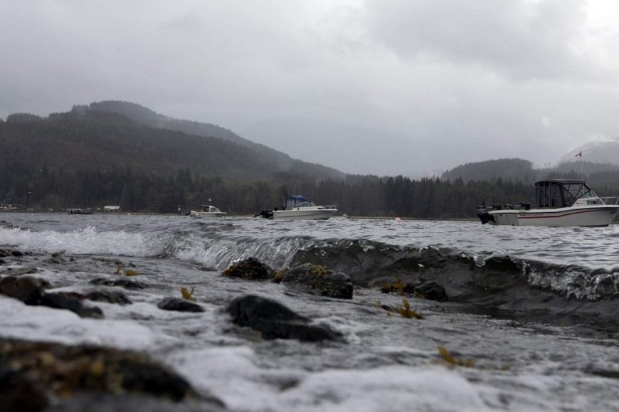 B.C. coast, parts of Vancouver Island set to see heavy rains, strong winds