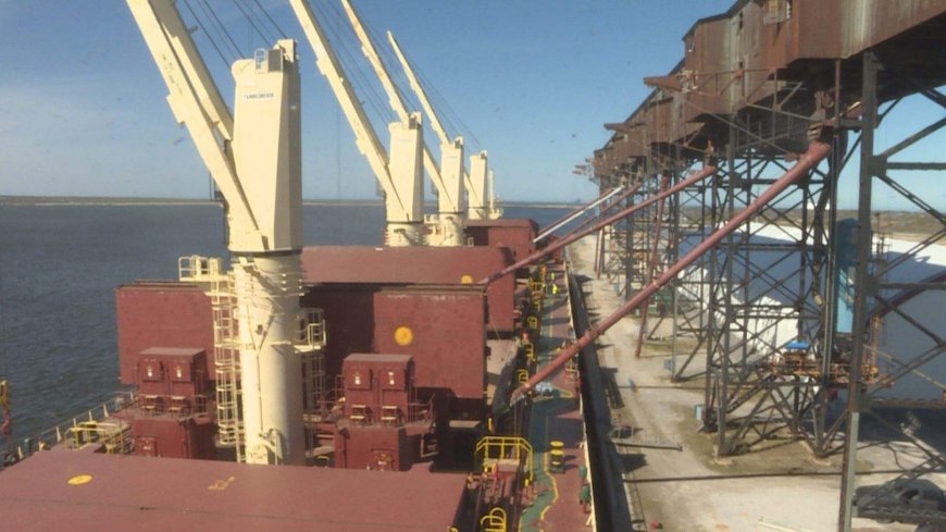 Port of Churchill resumes grain shipments for 1st time in 6 years