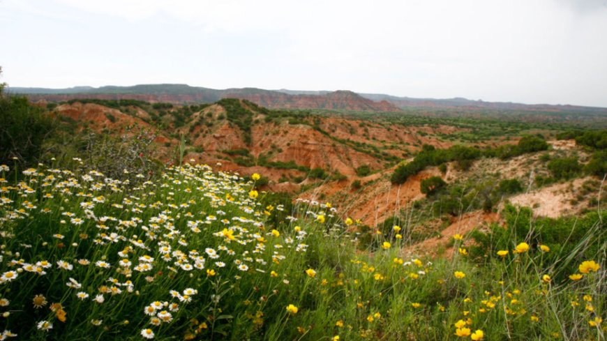 Best hikes to try around Lubbock ahead of Texas Tech's week one matchup with Abilene Christian