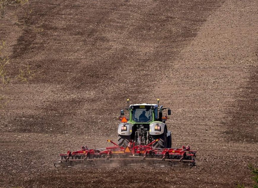 Maritime farmers hit by major drought last summer say they’re on the road to recovery