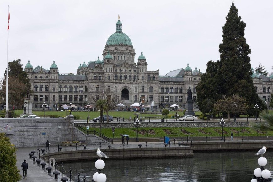 B.C. Conservative MLA Donegal Wilson quits caucus
