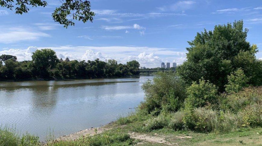 Winnipeg woman saves father and child from drowning: WPS