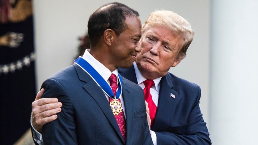 Trump reacts to Tiger Woods' plea deal in Florida rollover crash case