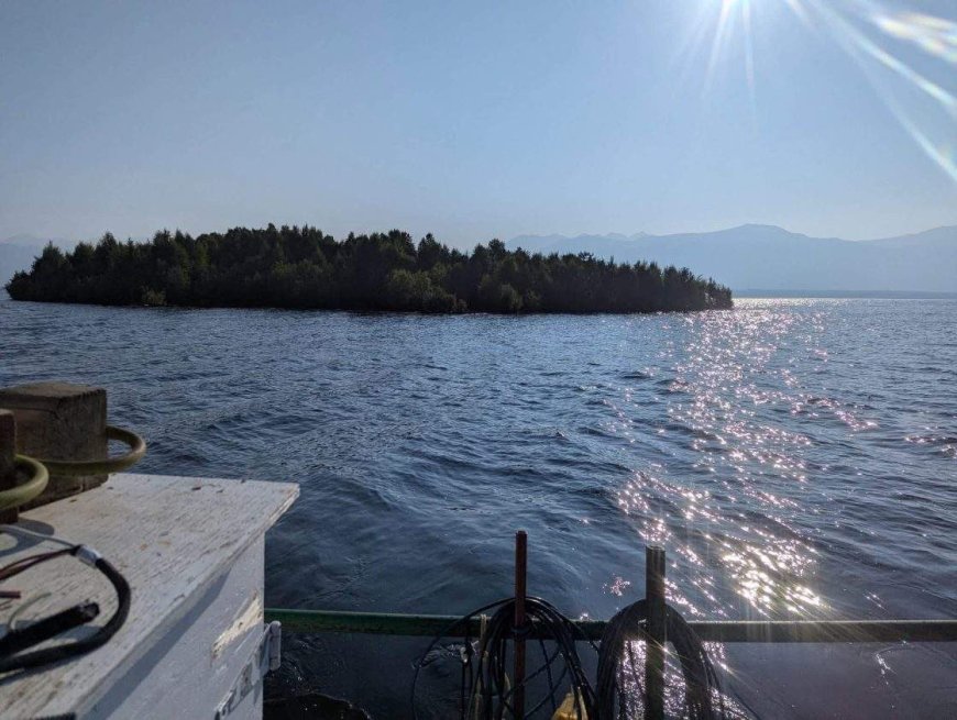 An island is floating around a B.C. reservoir — and it keeps disappearing