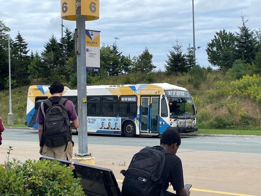 Free transit pass program for Halifax students to continue after funding uncertainty