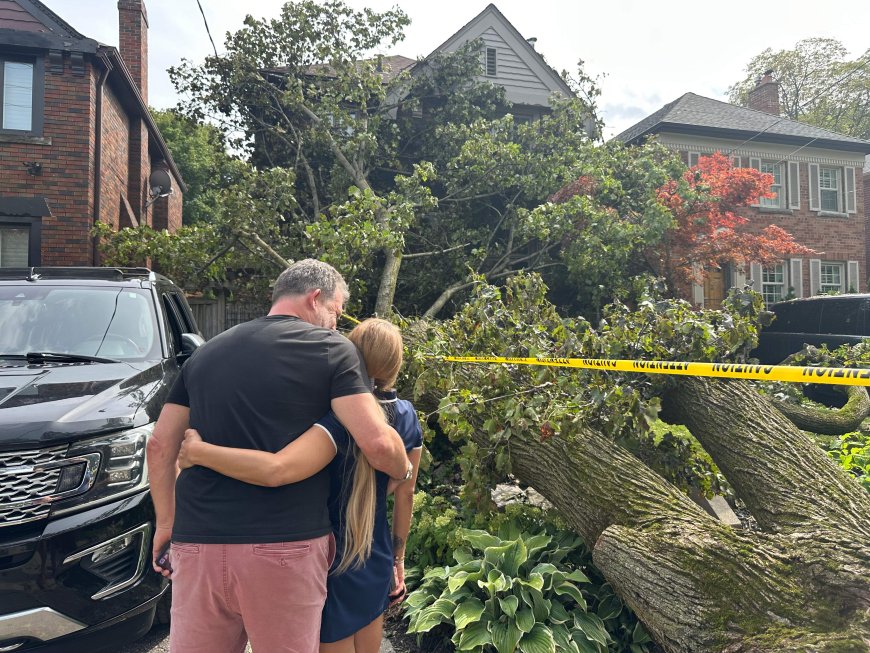 ‘God says ‘you can’t leave’: Toronto man whose home was hit by tree during storm proposes to fiance