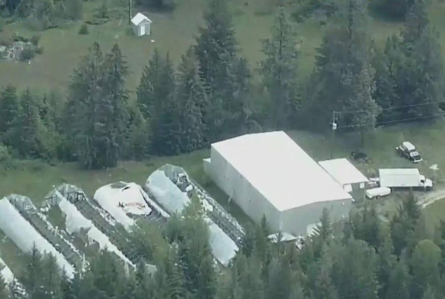 Only one person charged after RCMP dismantle Canada’s largest superlab