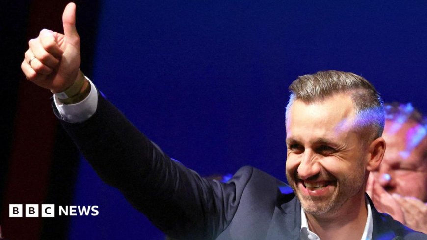 How significant are AfD's historic gains for Germany and the rest of Europe?