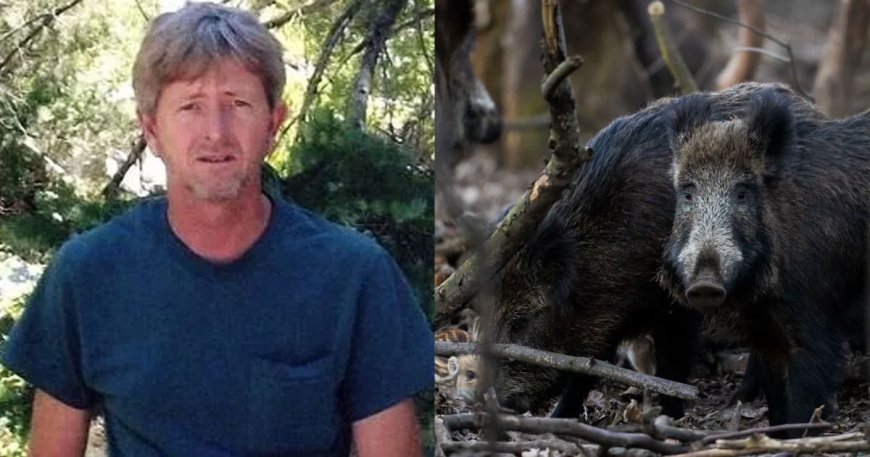 Retired Oklahoma Man Killed After Vehicle Slams Into Pack of 10 Feral Hogs
