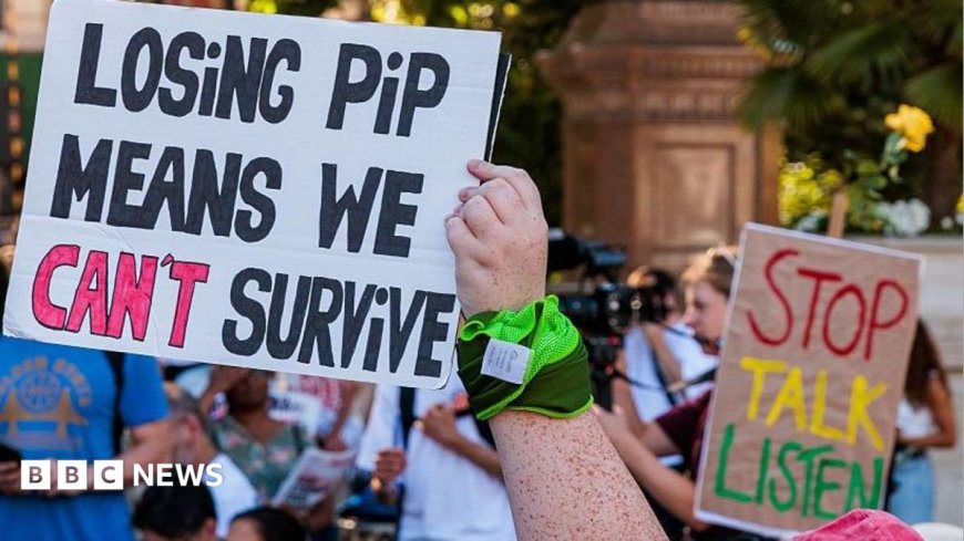 Support for disability benefits 'remarkably strong' report finds