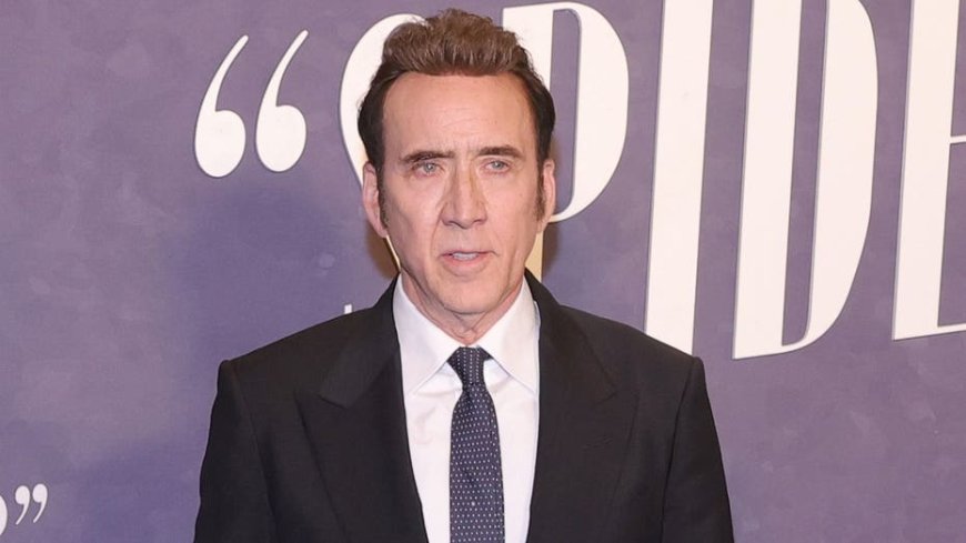 Nicolas Cage's Malibu beachfront home damaged after driveway collapses into massive sinkhole