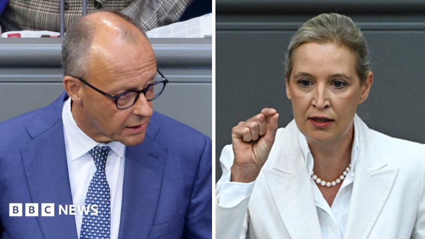 Germany's Merz attacks AfD in stormy debate after far-right election win