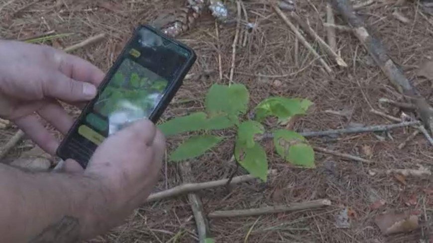 WildQuest app turns wildlife photography into a game for citizen scientists