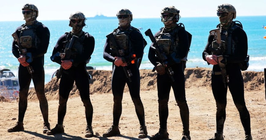 Navy SEALs Spent Four Months Clearing Iranian Mines from Strait of Hormuz in Dangerous Secret Mission