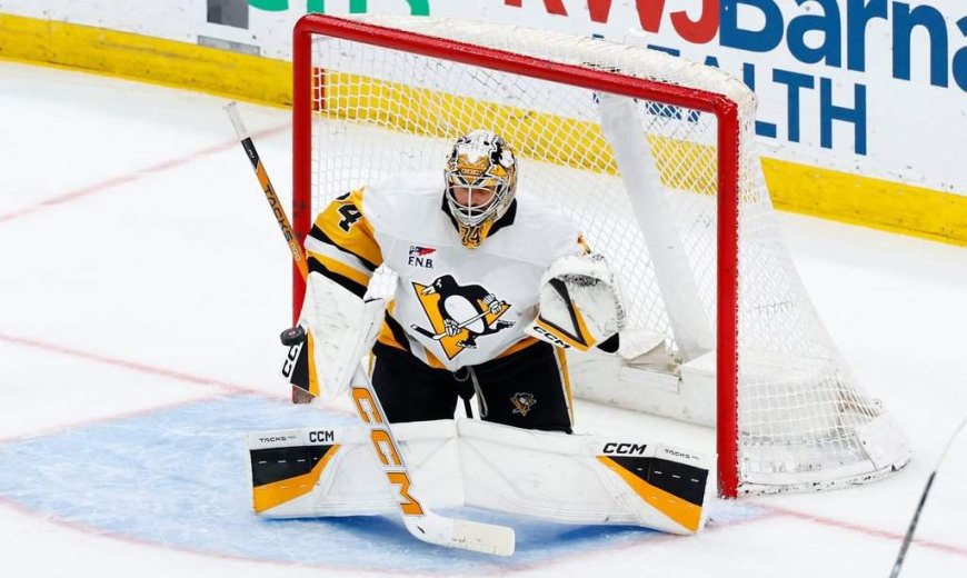 New Winnipeg goalie Skinner excited to be a Jet