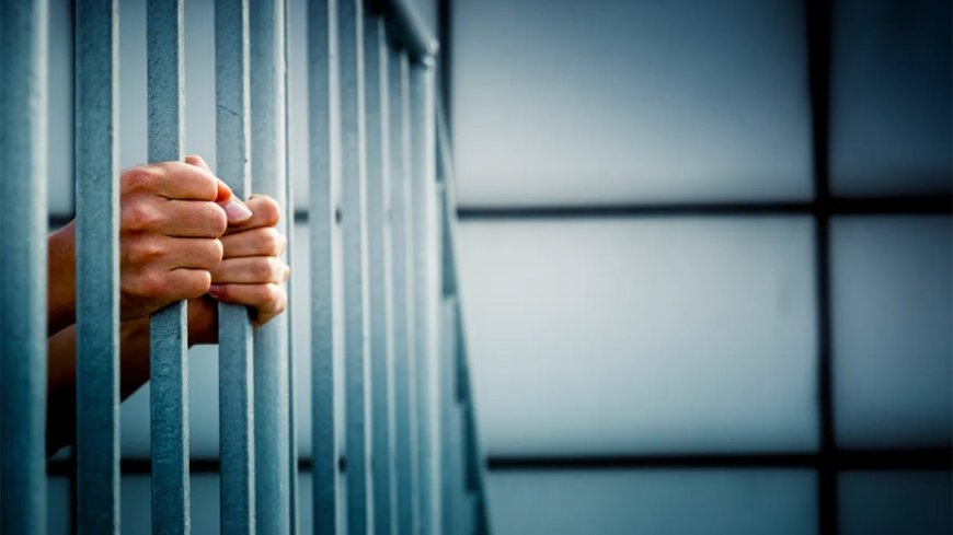 Chinese nationals accused of smuggling synthetic drugs into US prisons on drug-soaked paper