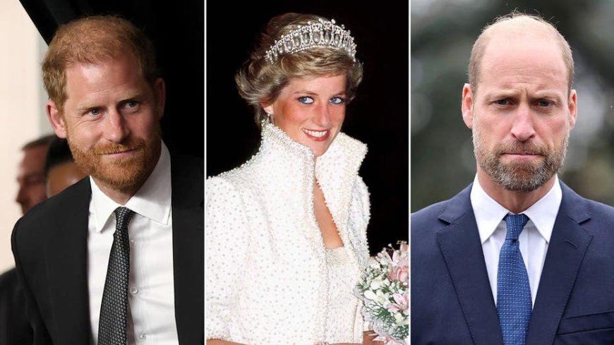 Prince Harry's rumored Diana film 'might feel like another betrayal' to Prince William as rift grows: expert