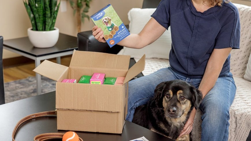 Girl Scout cookies going to the dogs as vet warns against 'unintentionally overfeeding'