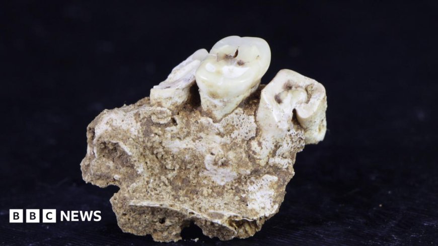 Drug use may have begun 25,000 years ago in Indonesia, research finds