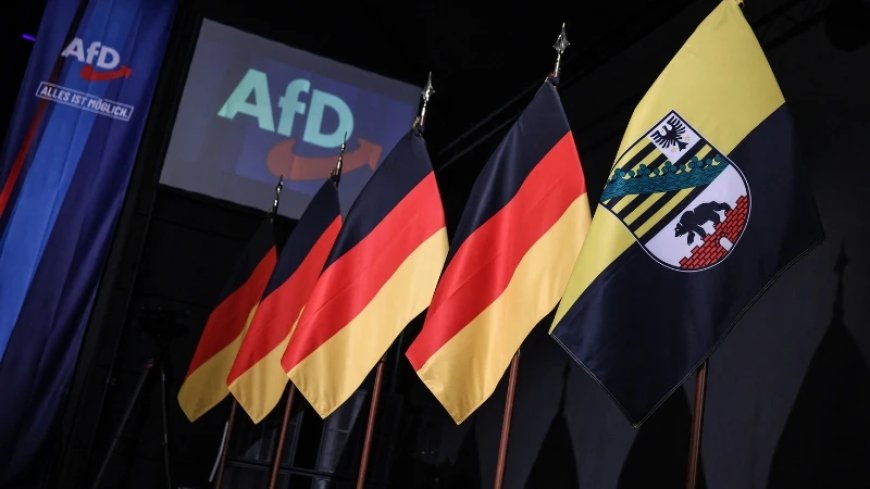 AfD Politician Suggests Migrants Will Be Deported at Gunpoint
