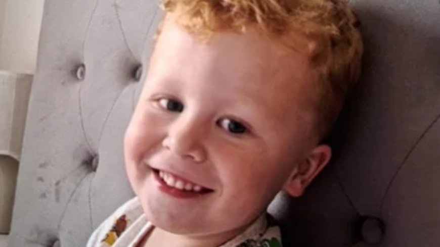 Noah Woods died after getting out of play area through 'gap in the fence', inquest hears