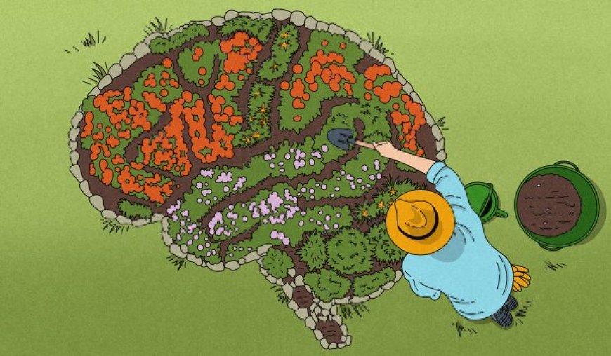 Tending the Landscapes of Our Imaginations