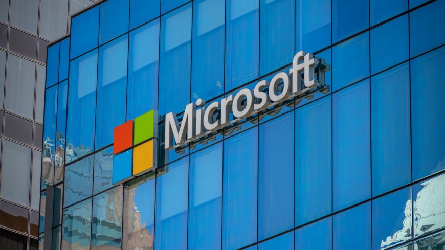 The Netherlands is rolling its own software and services after U.S. sanctions took Microsoft off the table