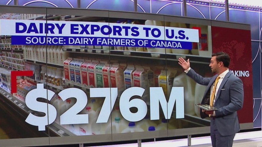 Trump ban on Canadian imports begins, and these products are affected
