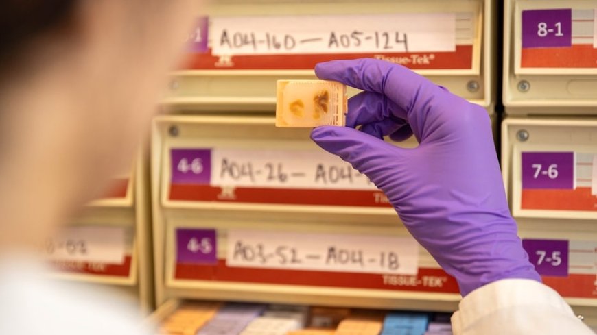 Fetal tissue supplier billed $765 procurement fee per organ, warns records could imply illegal sales: records