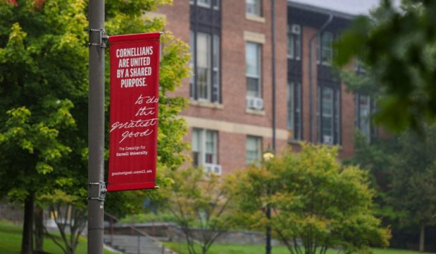 The Moral Wilderness of the Cornell Seven Case