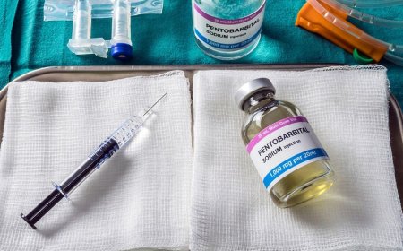 What to know about pentobarbital after death row inmate survives 2 lethal injection doses
