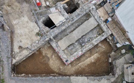 Remains of 10 infants discovered at former mother and baby home in Ireland