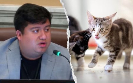 Blue state councilman mocked after claiming self-driving cars are 'murdering' pets: 'Hide your cats'