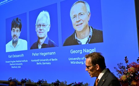 Nobel prize in medicine goes to U..S, German scientists for brain research