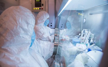 Russian plague institute researcher dies of illness with ‘unknown’ origin