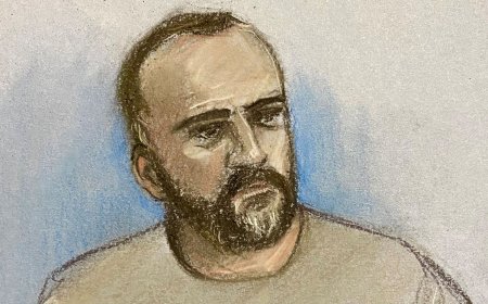 Alleged Iranian spy wanted £150,000 to 'finish off' journalist, court hears