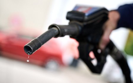 16 trucking companies filed for bankruptcy amid high diesel prices: Report