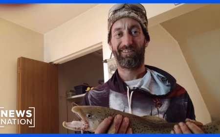 DJ Hamaker disappeared on a fishing trip amid property dispute