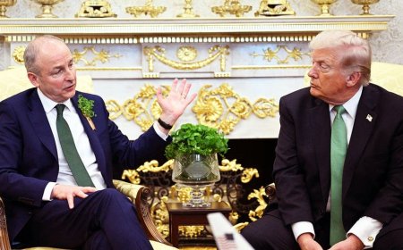 US could play role in united Ireland push after Trump's backing, Irish PM says
