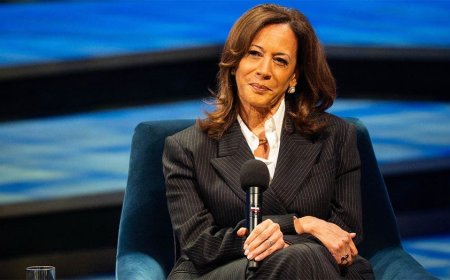 Democrats debate Kamala Harris 2028 run as surrogate says party wants to 'move on' from 2024 loss