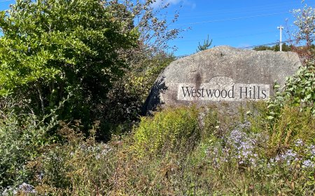Westwood Hills residents welcome work on new emergency exit, but want more routes