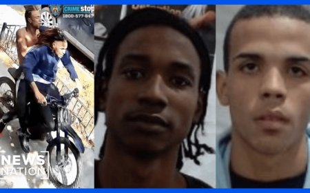 Suspects wanted for stabbing NYPD detective entered US illegally: DHS